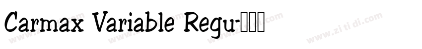 Carmax Variable Regu字体转换